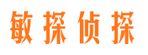 朗县市调查公司